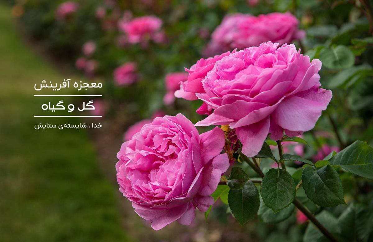 بنر صفحه اصلی