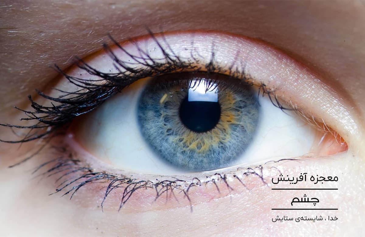 بنر صفحه اصلی
