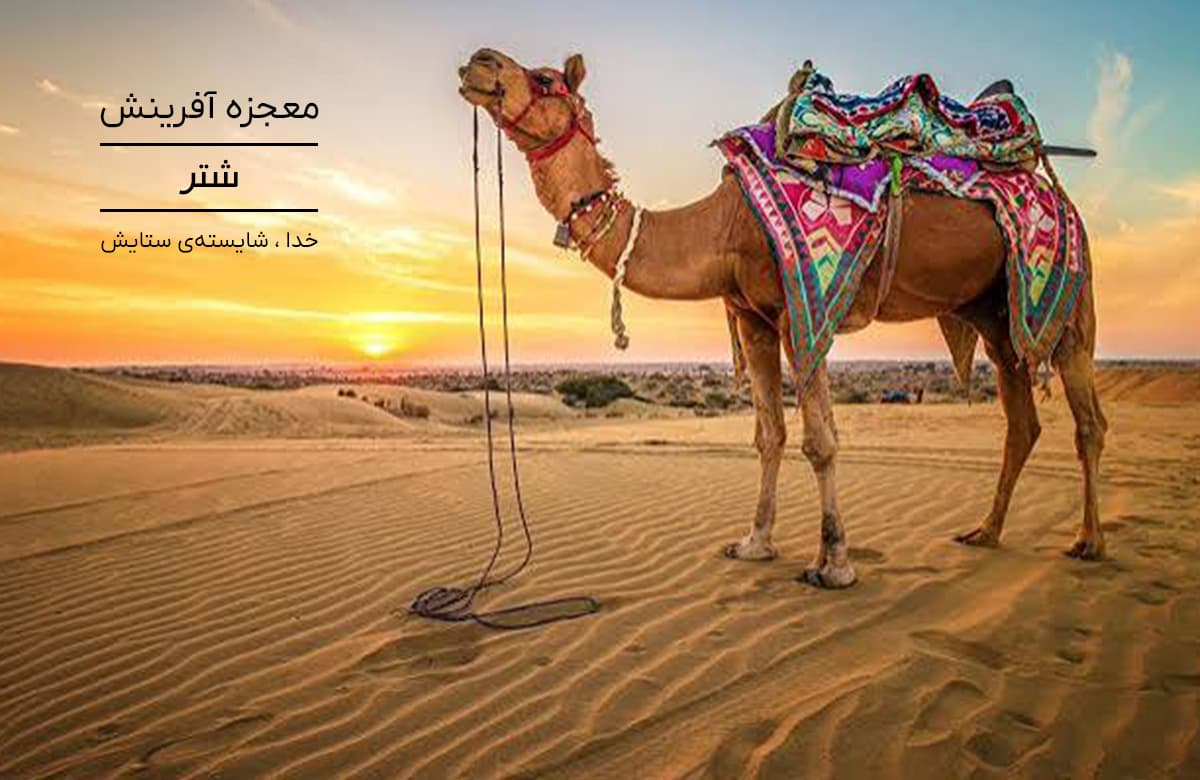 بنر صفحه اصلی