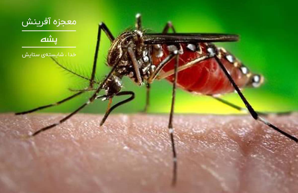بنر صفحه اصلی