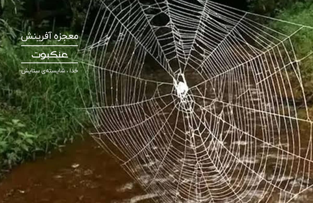 بنر صفحه اصلی